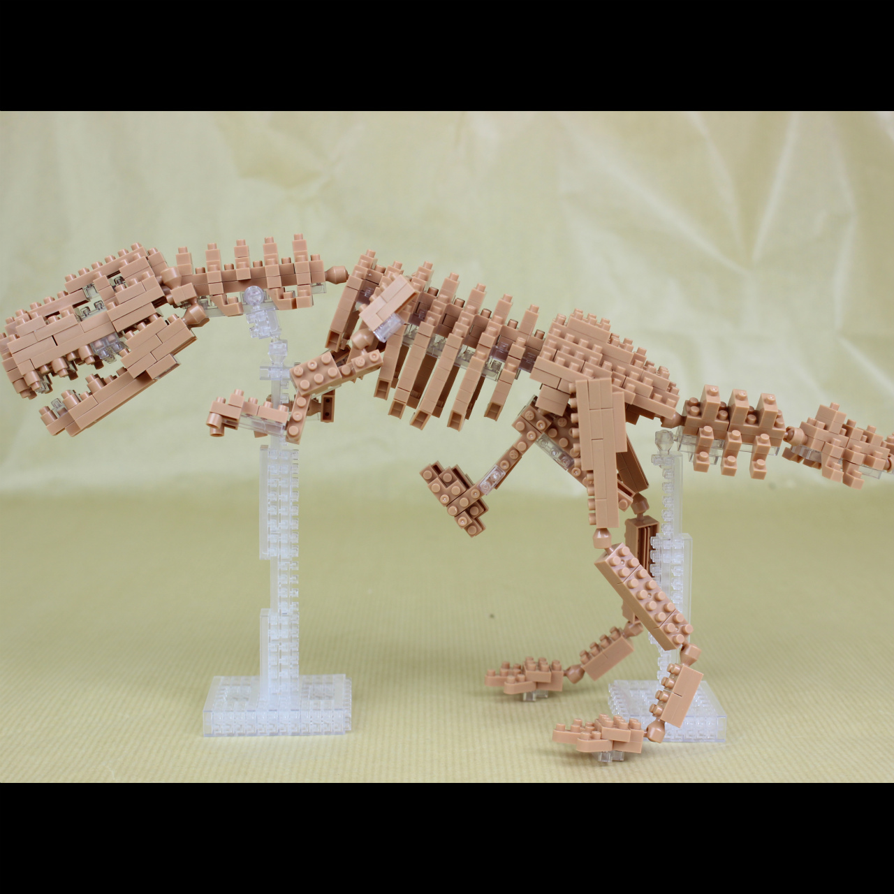 Nanoblock ティラノサウルス 骨格モデル レゴ箱 Lego Box